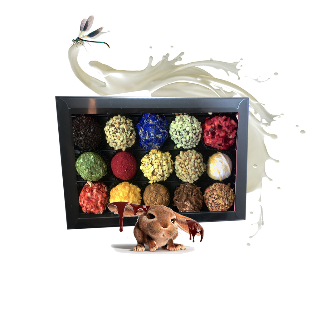 CHOCOLADNA luxury Chocolate truffles -16 pieces -